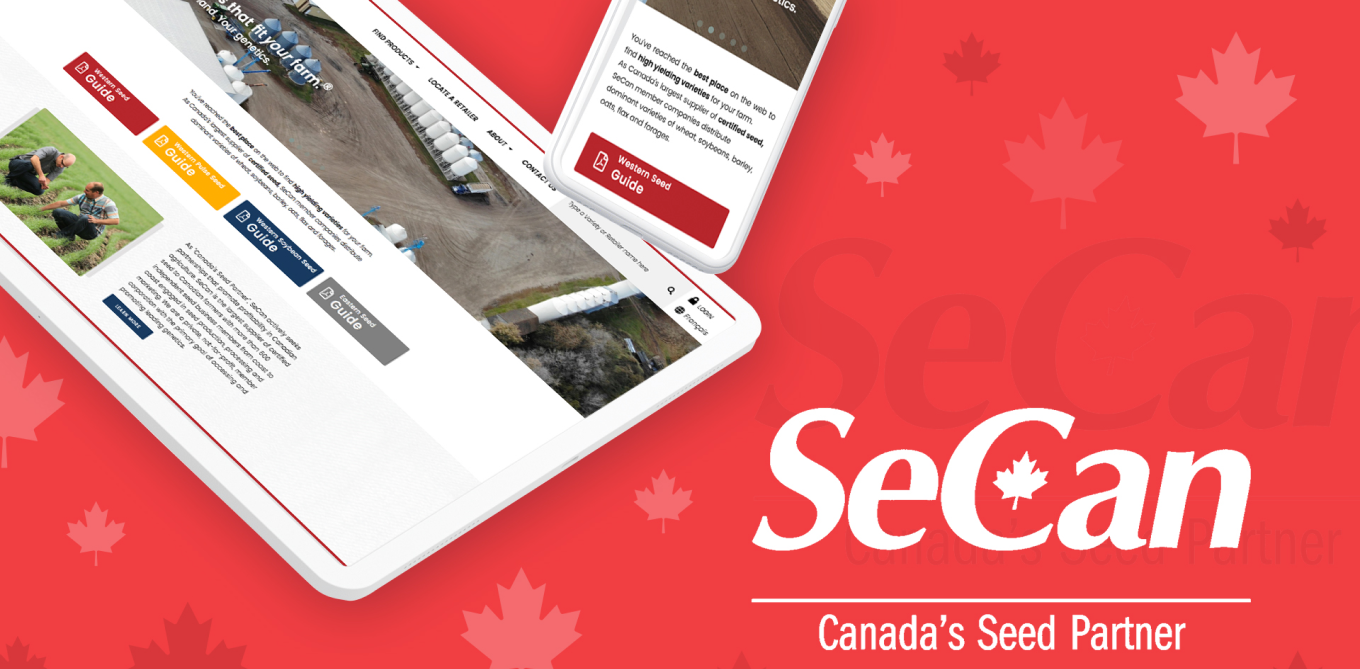 SeCan - LN Webworks Private Limited