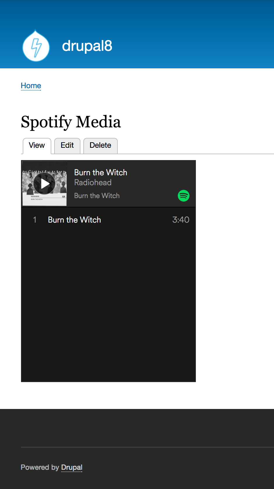 media-entity-spotify