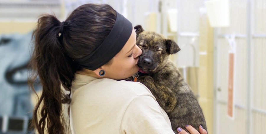 Image of a young woman with long brown hair in a ponytail holding a brown brindled puppy that appears to be sleeping and snuggly.