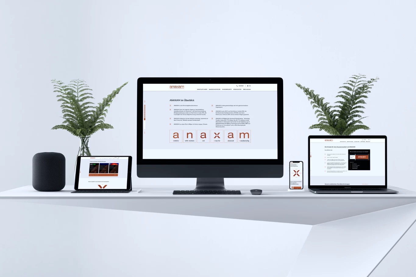 anaxam_website
