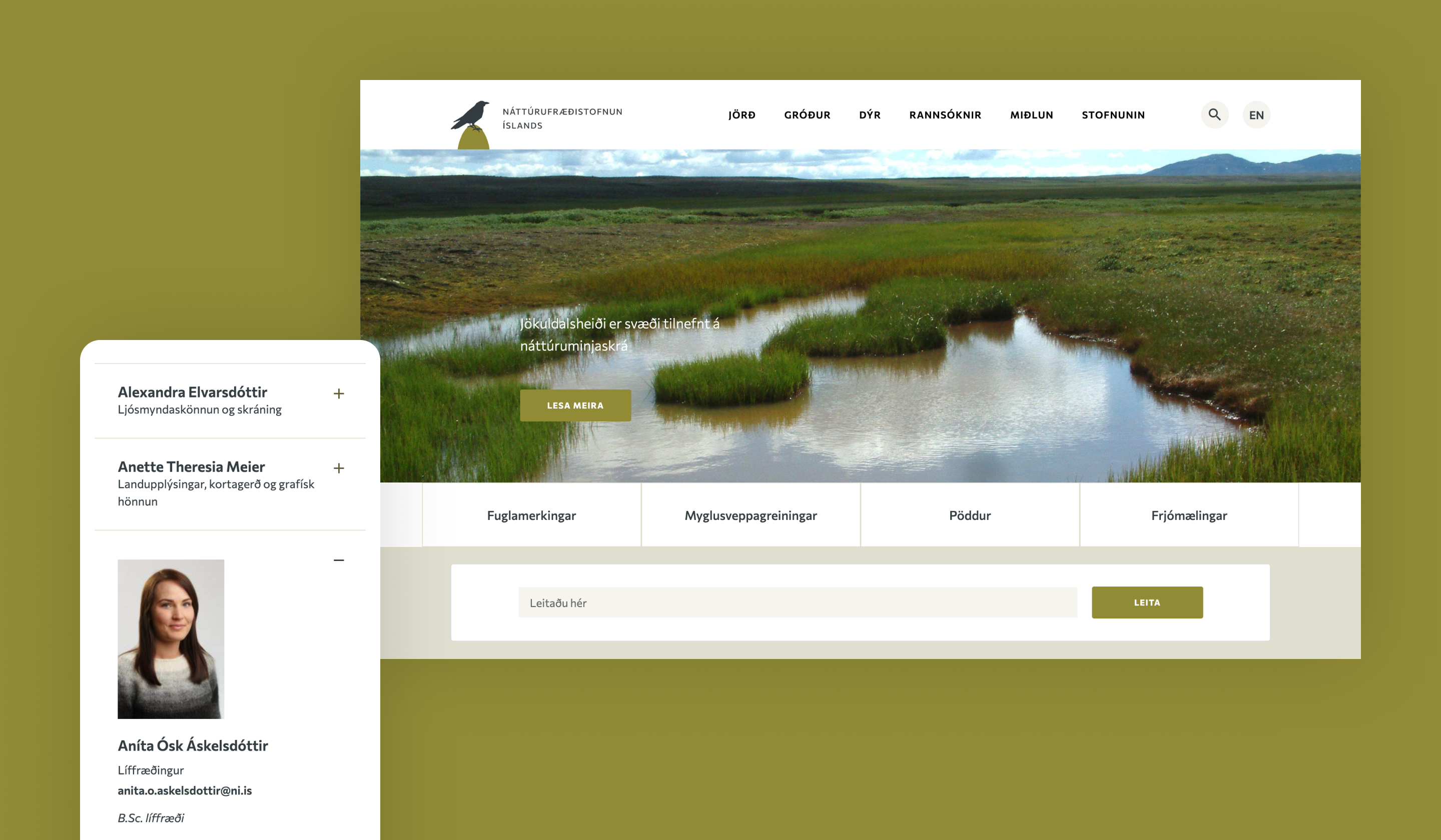 Screenshot of the NÍ website homepage