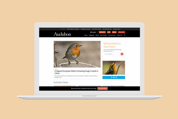 Audubon homepage on a MacBook