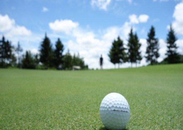 Golf EMS | Joshi Consultancy Services