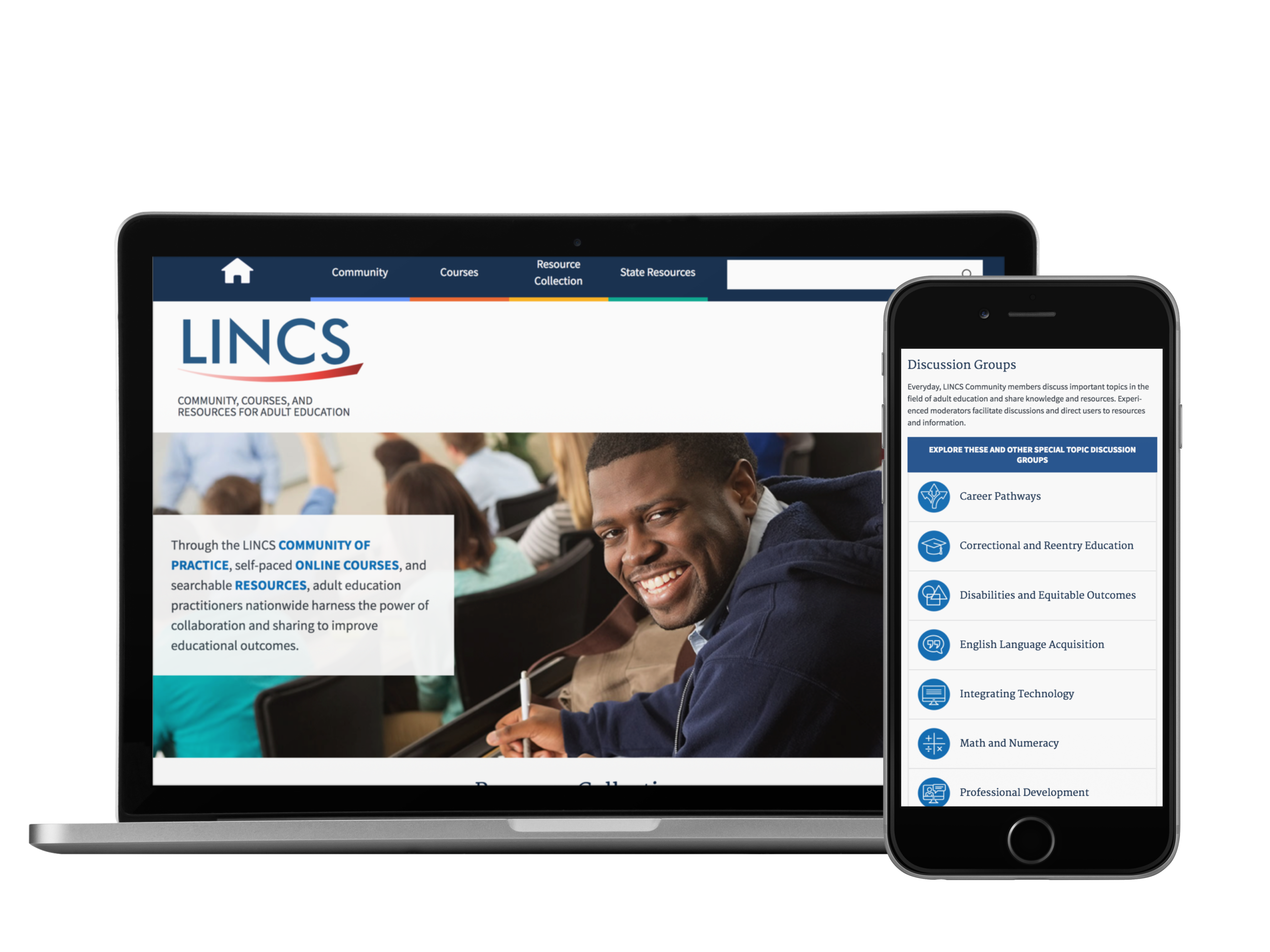 Screenshot featuring LINCS' website design