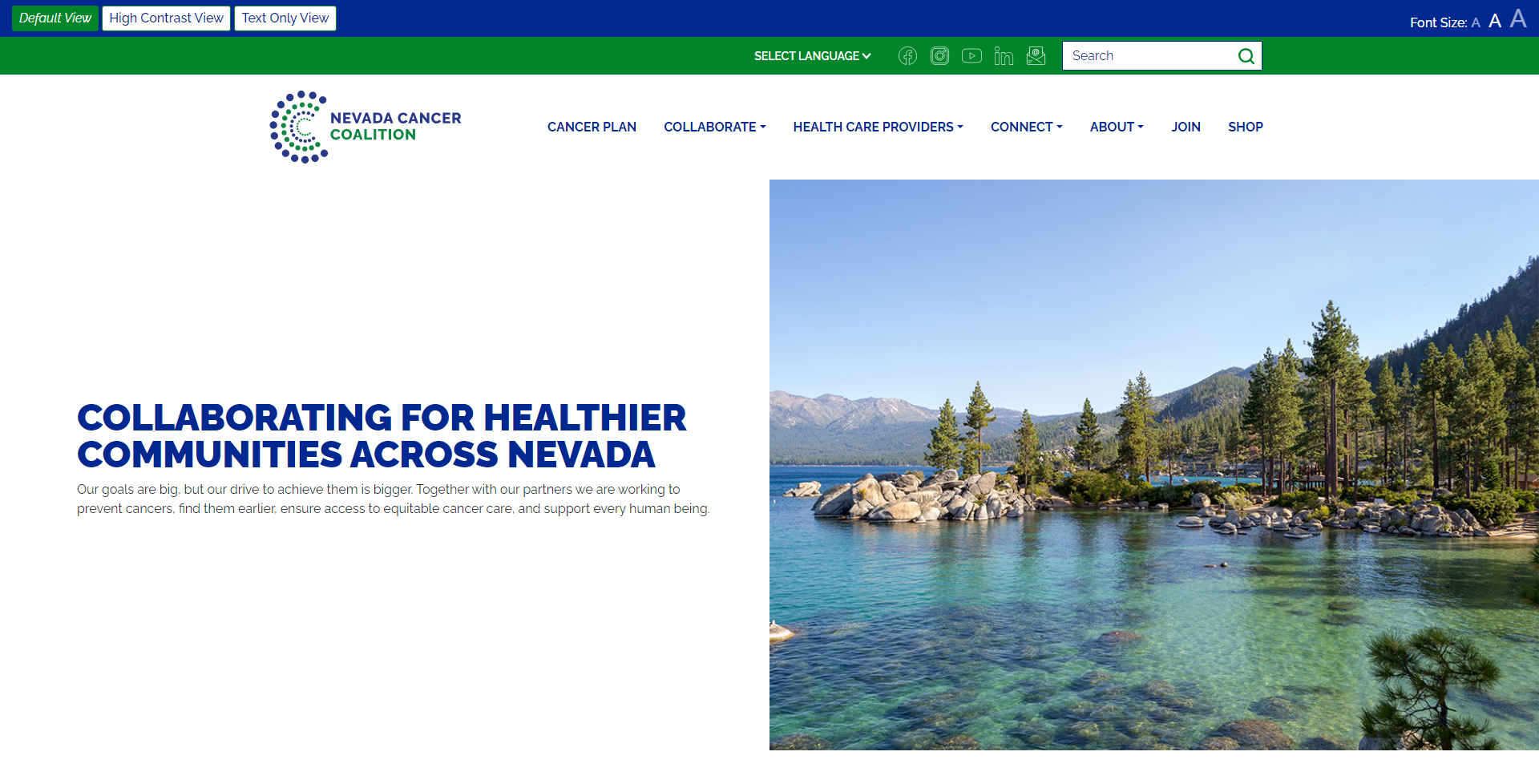 Nevada Cancer Coalition