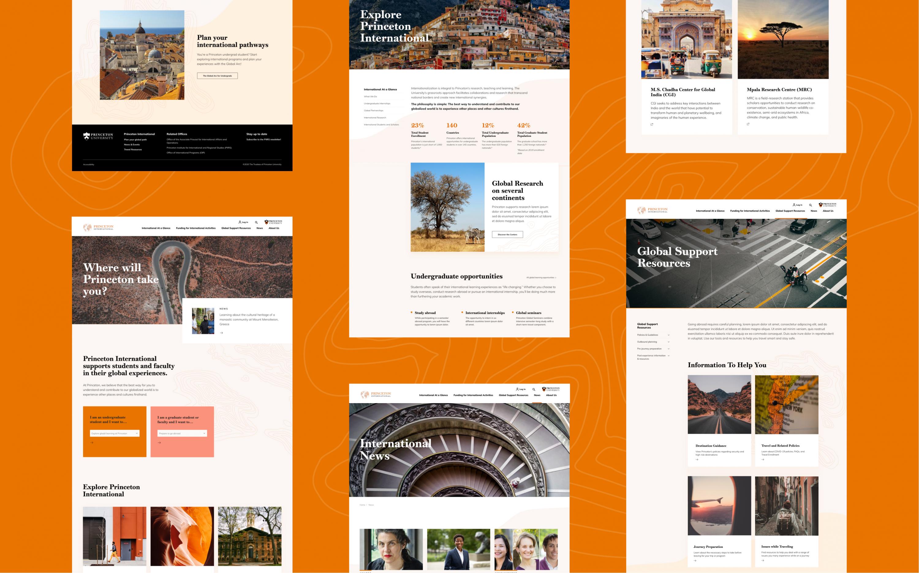 Princeton International Website Screenshots