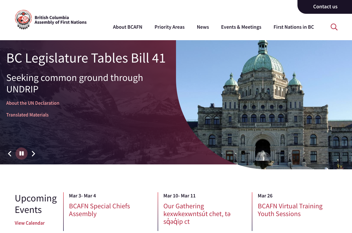 BCAFN website homepage. 