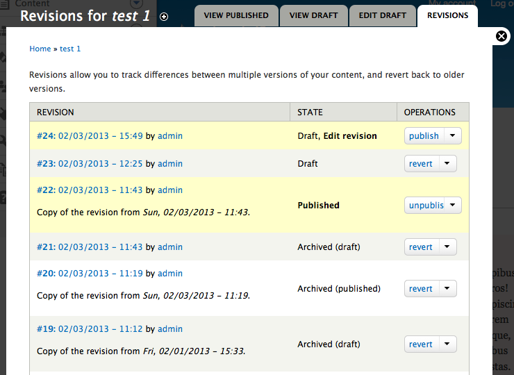 revision page screenshot