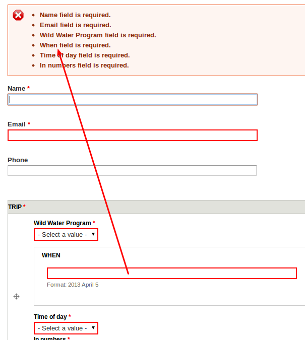 Validation required. Required field. Is required перевод. Field перевод. Field анкеты.