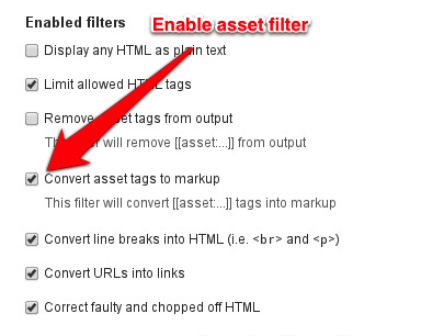 Enable "Convert asset tags to markup" filter