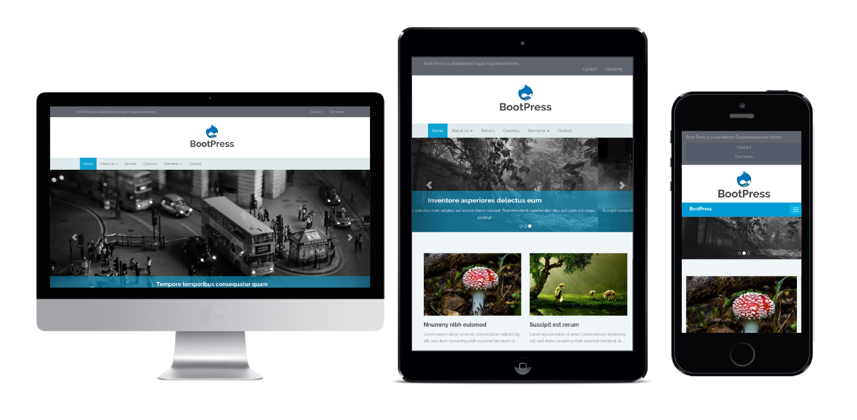 theme project drupal org drupal portfolio theme free