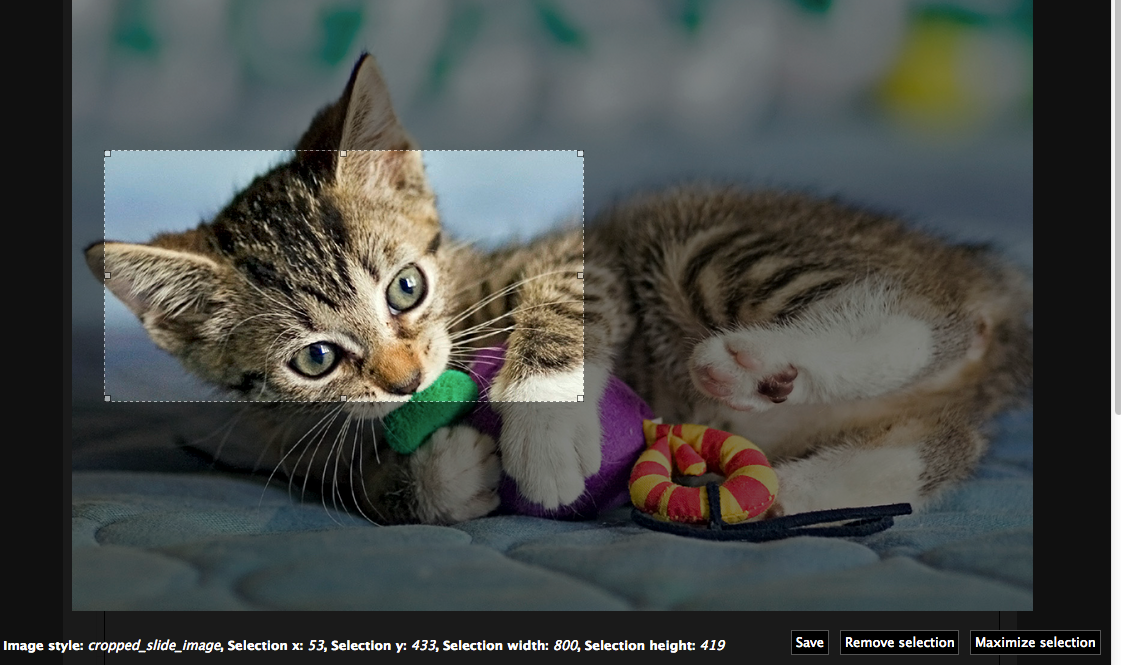 improve buttons in cropping ui 1890402 drupal org cropping pics
