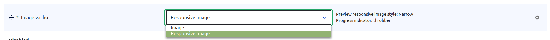 drupal 11