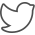 Icon of Twitter logo
