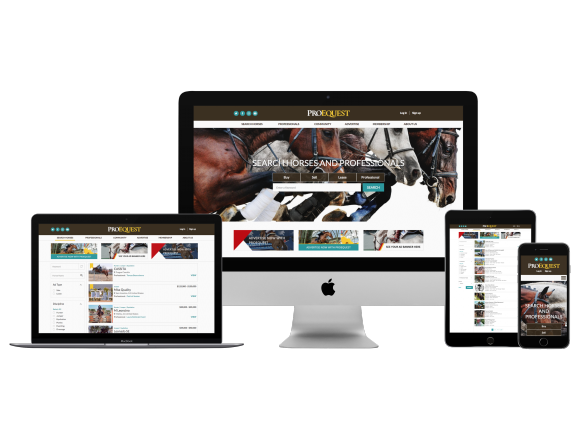 ProEquest Website