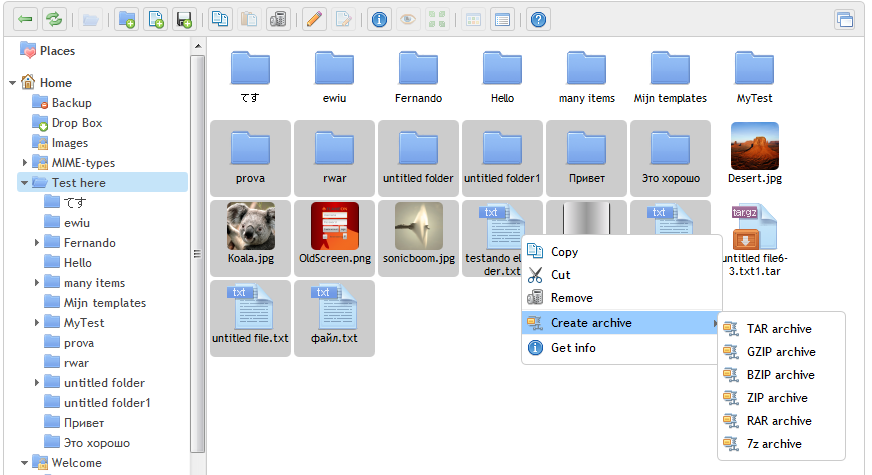 Elfinder File Manager Elfinder File Manager