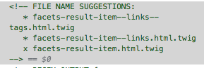 twig debug