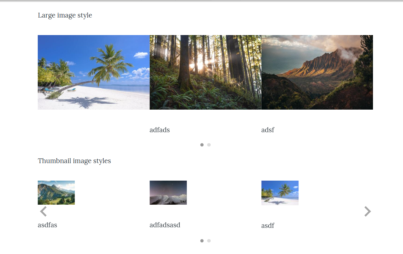 Image styles