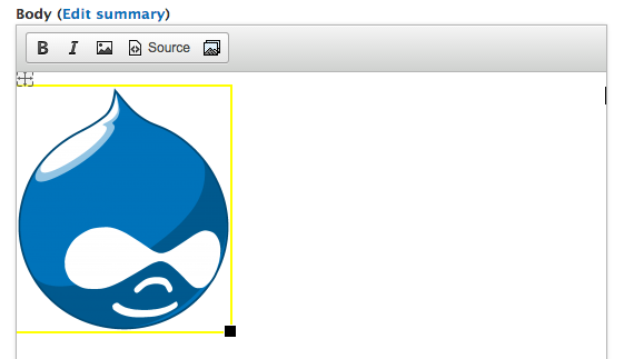 Image now has widget initialized