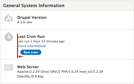 Run cron button