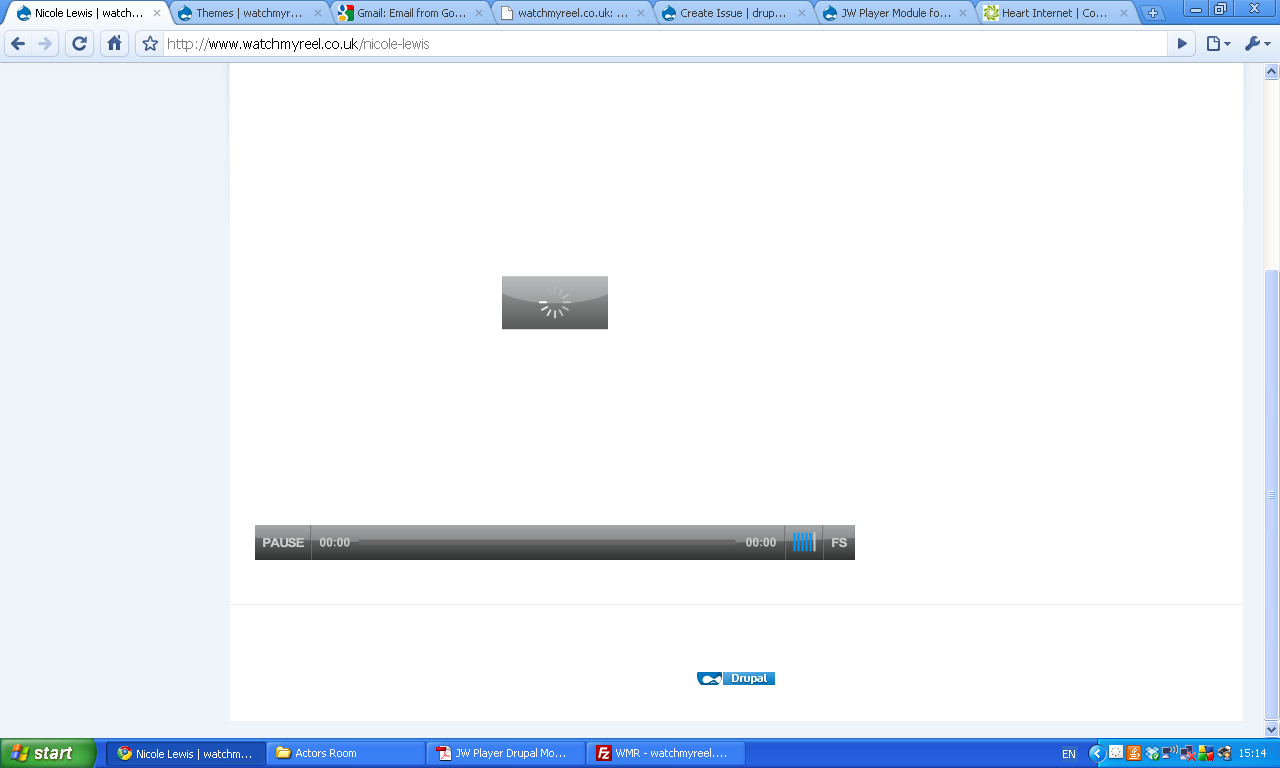 The file just keeps loading and won't play [902254]