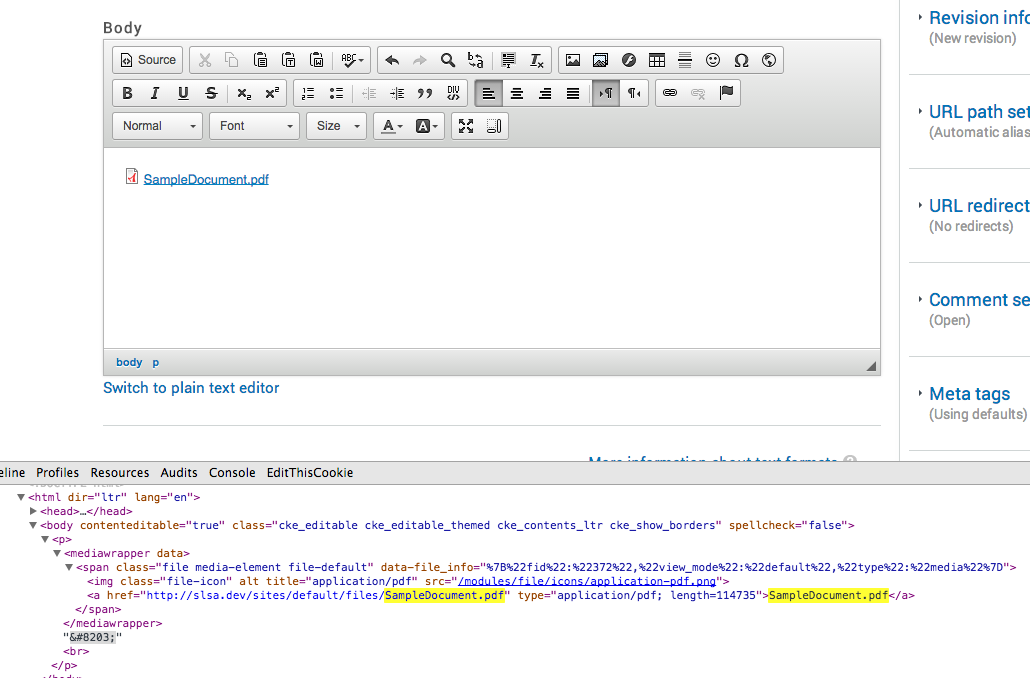 Link Icon To Media Document Is Stripped Out By Ckeditor Before