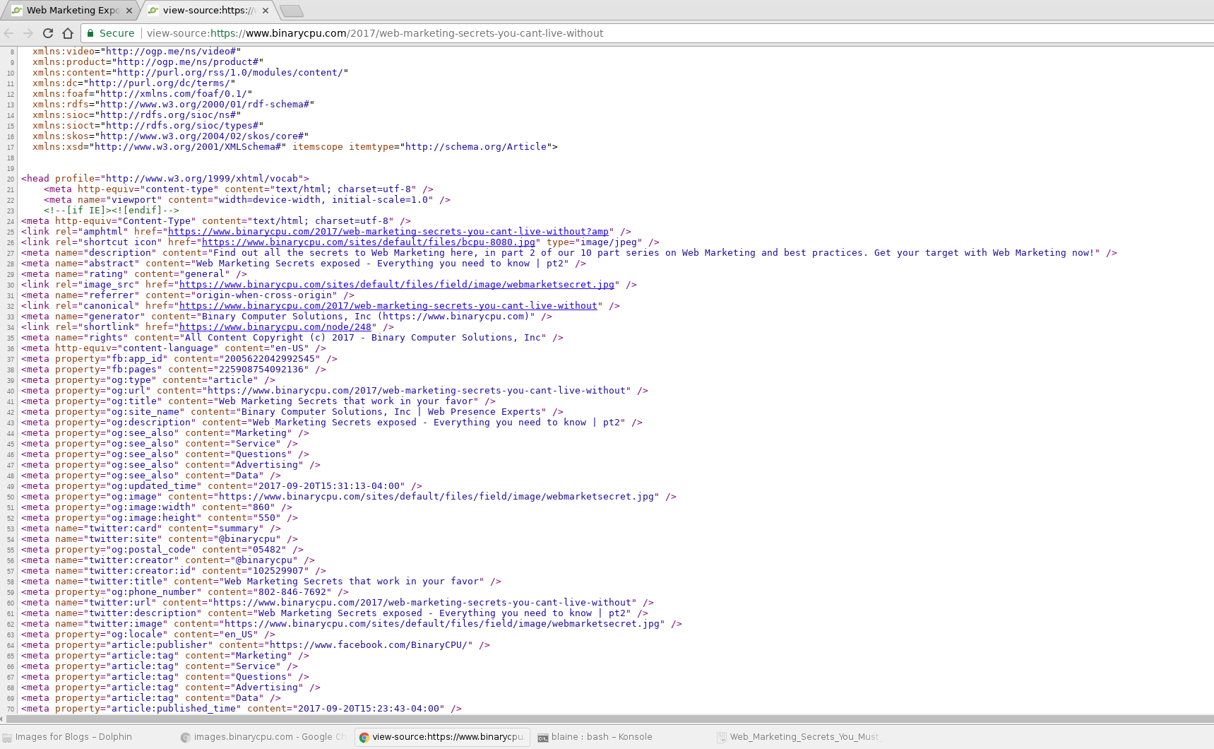 amp pages must be included in xml sitemap 2875864 drupal org