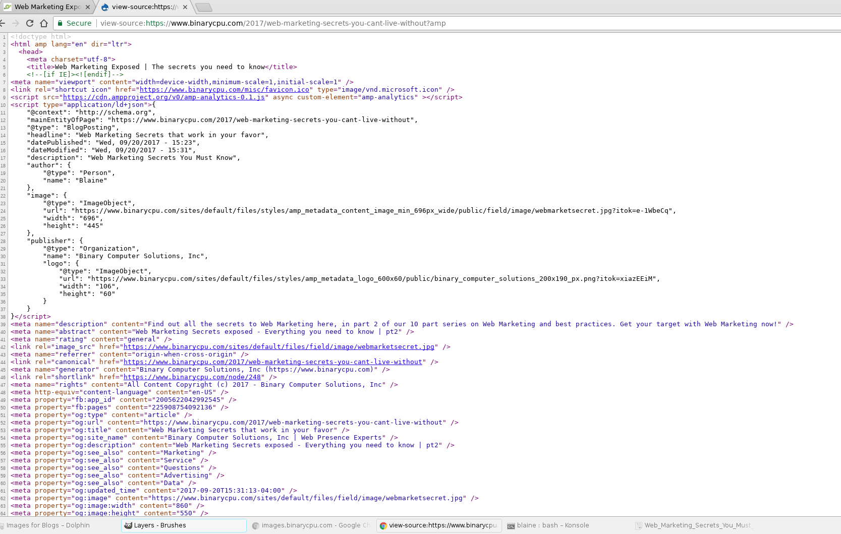 amp pages must be included in xml sitemap 2875864 drupal org