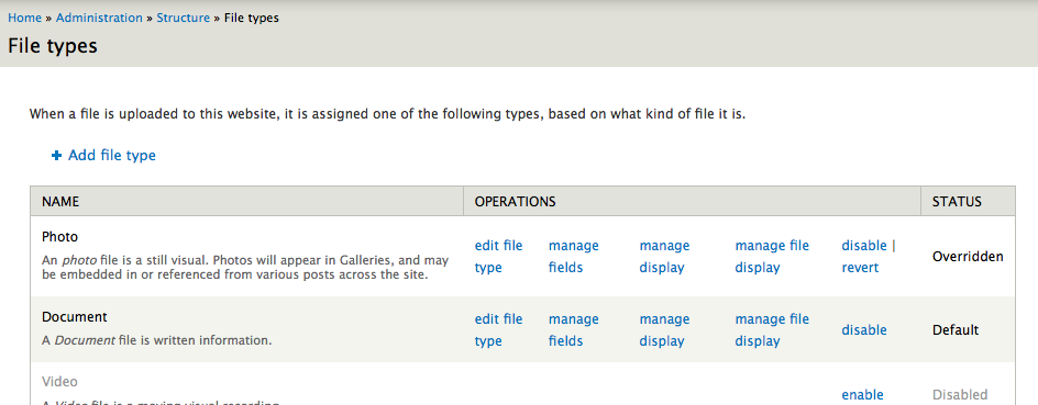 file entity permissions