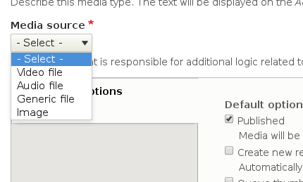 Media type form presents "File", "Audio file", and "Video file" options ...