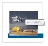 Problem with genesis_preprocess_comment_wrapper() [#568522] | Drupal.org