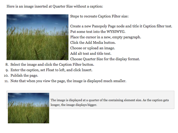 filter captions caption filter does not work with quarter size image format or with floated captions filter captions caption filter does not work with quarter size image format or with floated captions