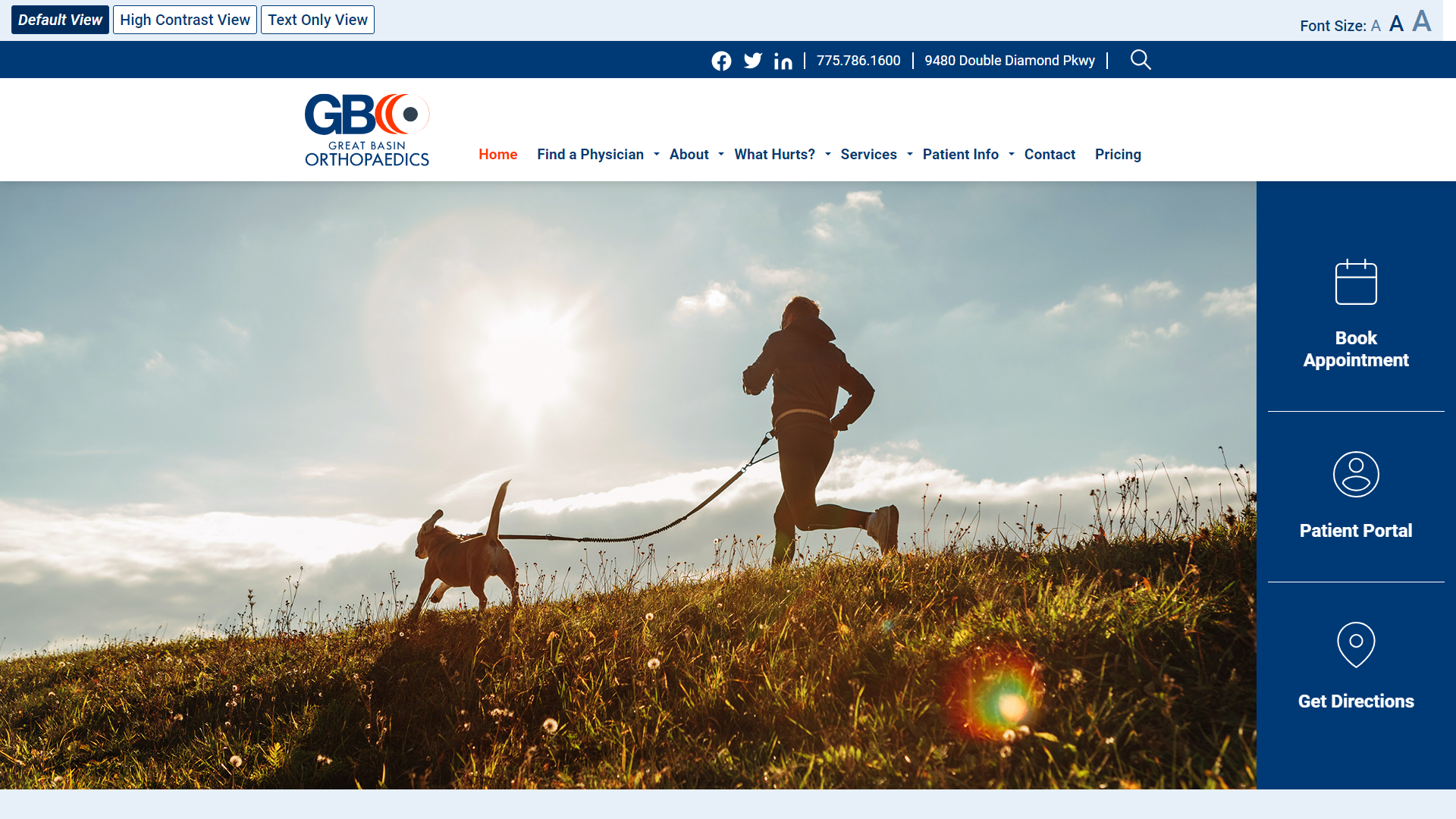 Great Basin Orthopaedics