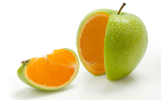diff different drupal org