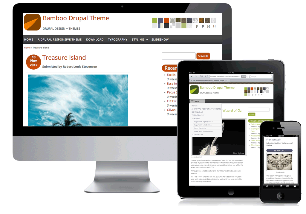 bamboo software dowbload