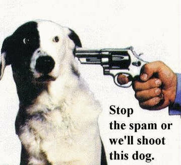 stop spam drupal org stop spam