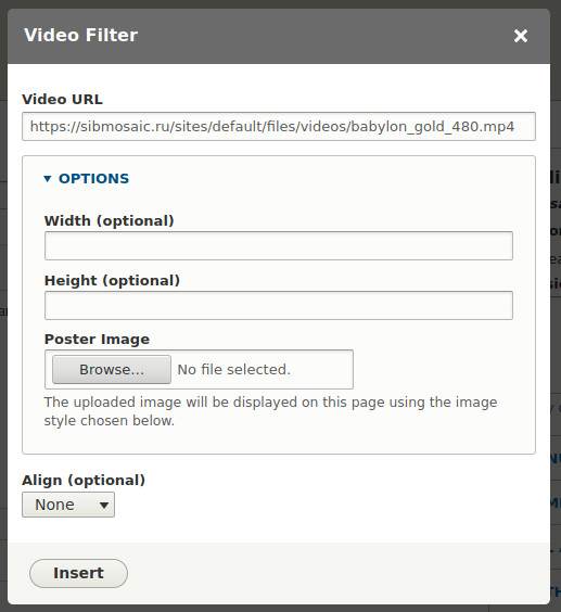Video Filter HTML5