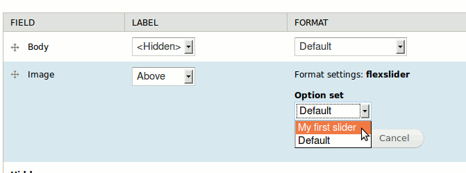 In the column "Format", use the rolling list "Option set".