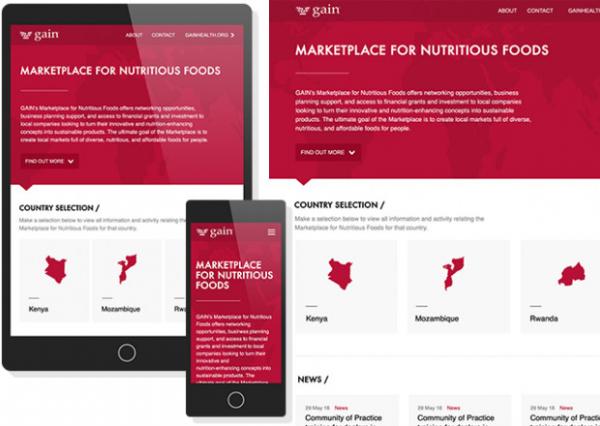 GAIN Marketplace for Nutritious Foods Drupal Homepage by Website Express