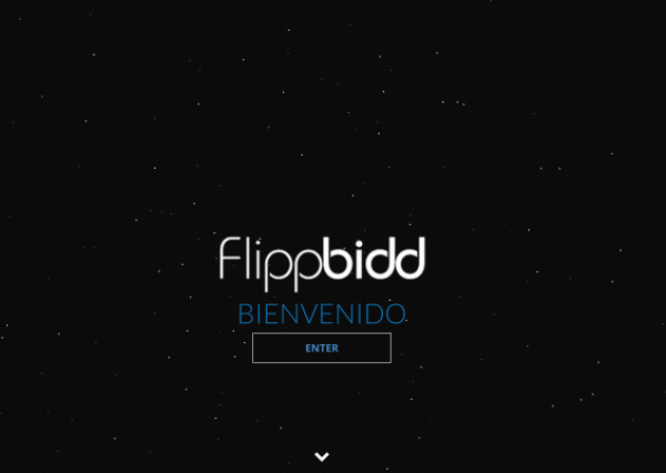 FlippBidd