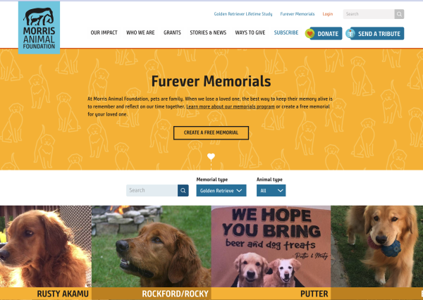 Furever Memorials Screenshot of Golden Retriever Lifetime Study Page