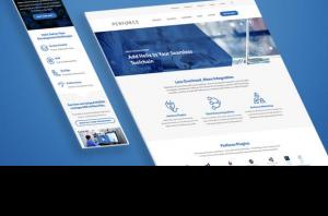 Perforce Software B2b website 