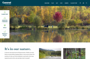 Screen shot of website homepage. 