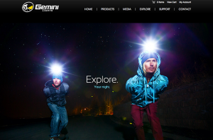 Gemini Lights Website Screenshot