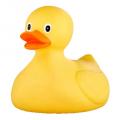 Rubber duck’s picture