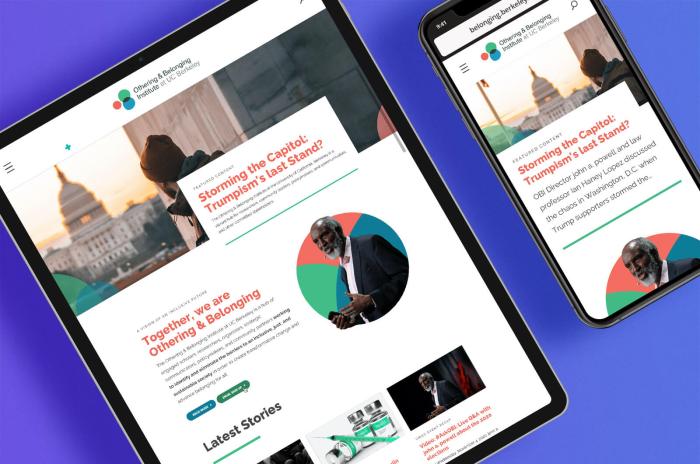 Othering & Belonging Institute