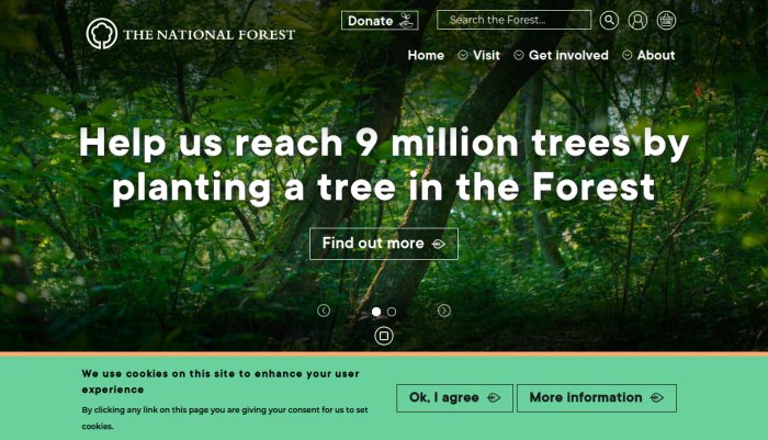 The National Forest