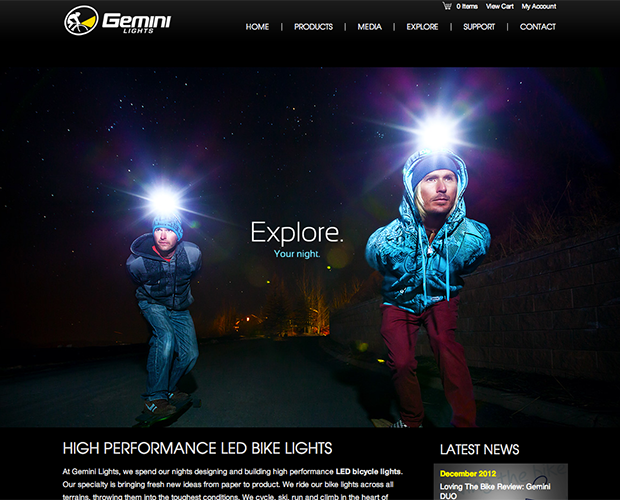 Gemini Lights Website Screenshot