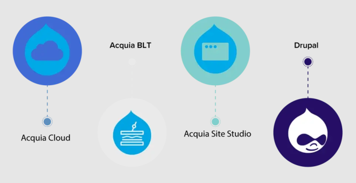 Delivering a Market-ready Website with a Unified UX in Just 6 Weeks