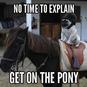 notimetoexplaingetonthepony's picture